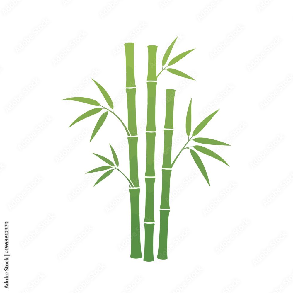 Fototapeta premium Elegant Green Bamboo Stalks Illustration Symbolizing Growth, Nature, and Tranquility, Perfect for Design Projects and Zen Aesthetics