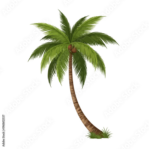 Vibrant tropical palm tree illustration, featuring lush green fronds and coconuts, symbolizing tranquil island vacations and exotic beach destinations