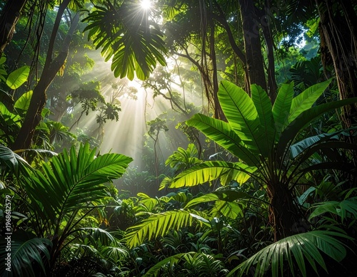 Sunlight Filtering Through Dense Tropical Rainforest Foliage.