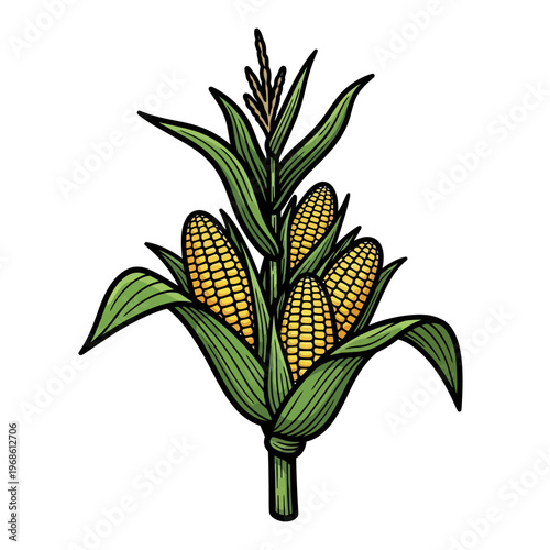 Vibrant Corn Stalks Laden with Ripe Yellow Ears, Illustrating Abundant Harvest and Agricultural Bounty