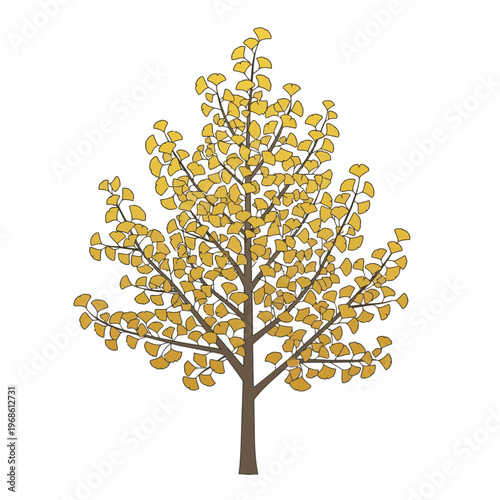 An illustration of a Ginkgo Biloba tree in full autumn foliage, showcasing its distinctive fan-shaped leaves in a vibrant yellow hue, symbolizing the changing seasons