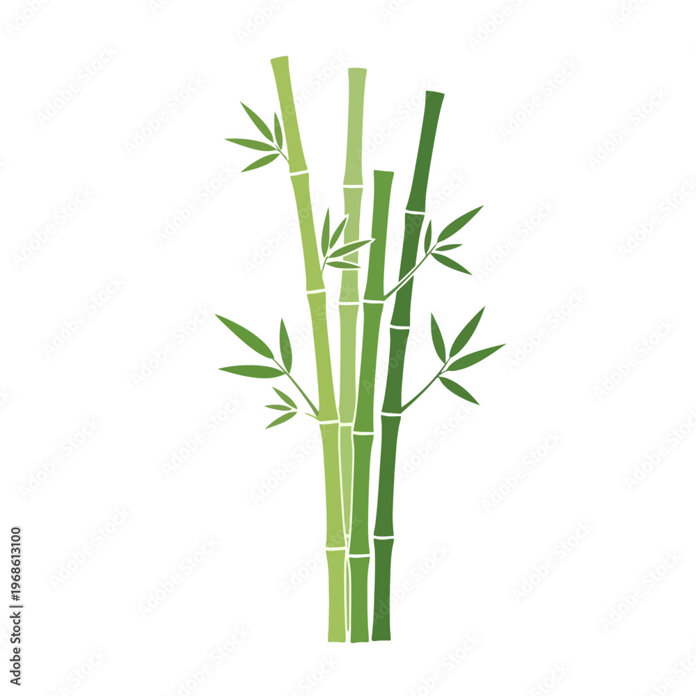 Obraz premium Green bamboo stalks with leaves illustration, natural plant design element