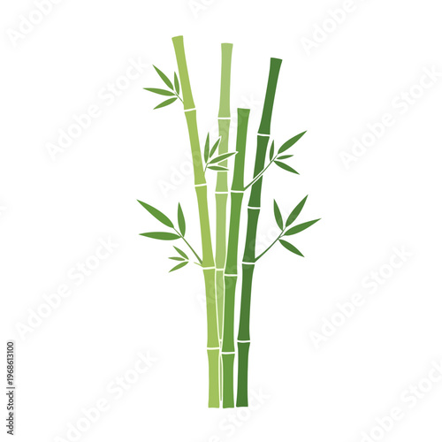 Green bamboo stalks with leaves illustration, natural plant design element