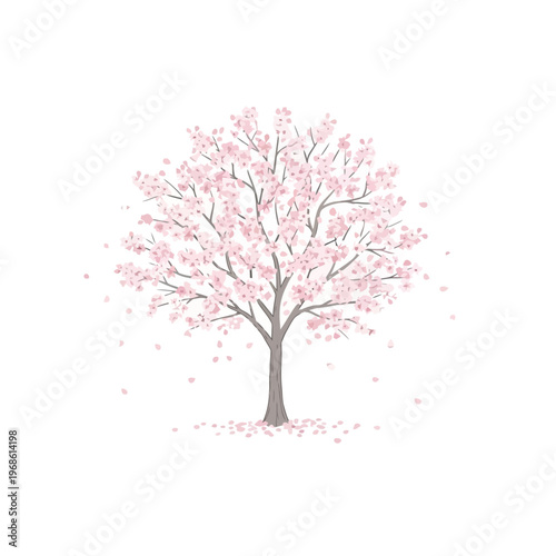 Delicate pink cherry blossom tree illustration, embodying the ephemeral beauty of spring and natural seasonal renewal with gracefully falling petals