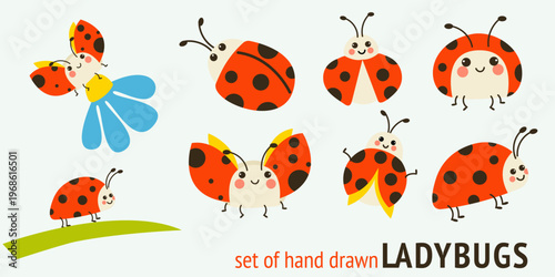 Cute ladybug set cartoon insects collection