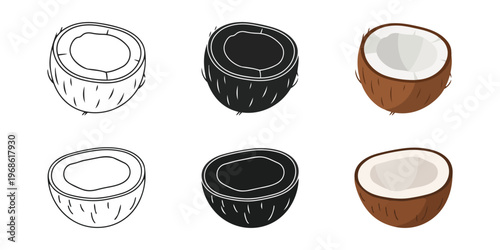 Coconut half vector illustration set