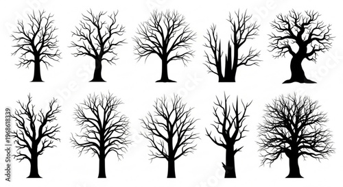 Collection of bare tree silhouettes in various shapes and sizes on white background for design and decoration