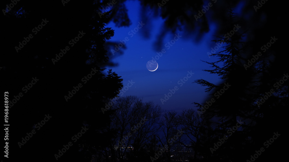 Fototapeta premium Blue hour time with crescent Moon, stars and planets above landscape silhouettes.