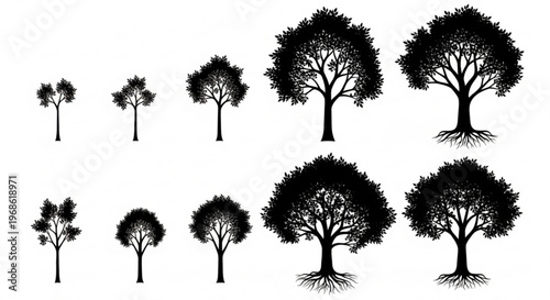 Collection of black tree silhouettes in various growth stages on white background for design and ecology concepts