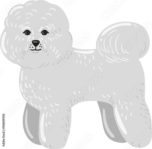 Bichon Frise dog standing full body illustration