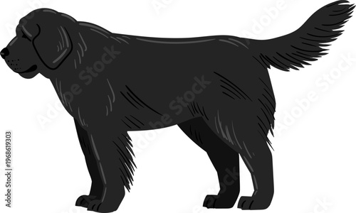 Black Labrador Retriever dog standing profile illustration