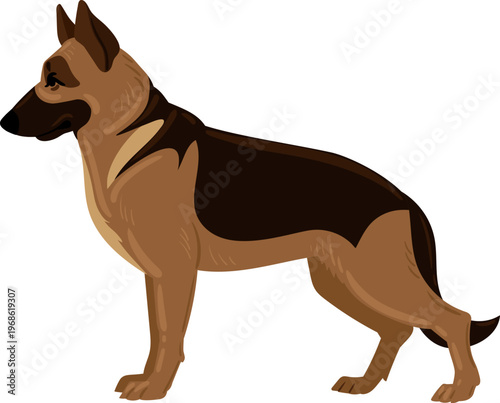 German Shepherd dog standing side profile illustration