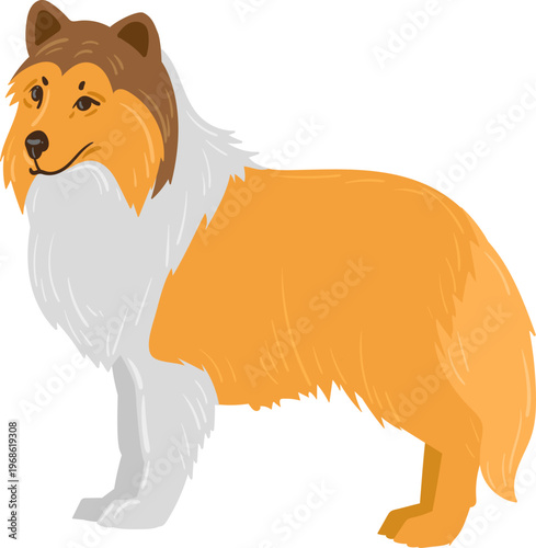 Rough Collie dog standing side view illustration