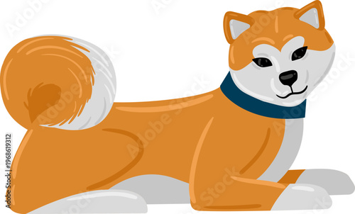 Akita Inu dog lying down wearing blue collar