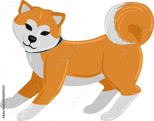 Shiba Inu dog in a playful stretching pose illustration