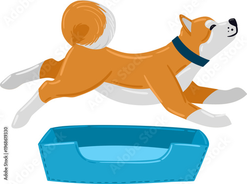 Dog jumping over pet bed showing training and agility