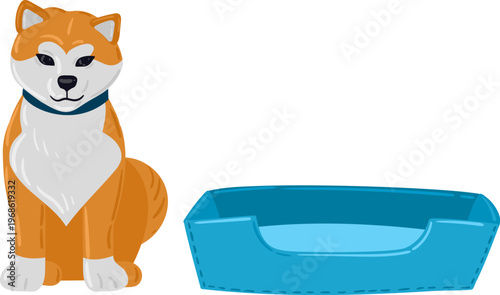 Shiba Inu dog sitting observing pet bed