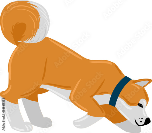 Dog sniffing ground with curiosity playing game