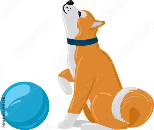 Dog sitting, paw raised, waiting for playing ball