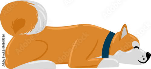 Sleeping Akita dog relaxing with closed eyes