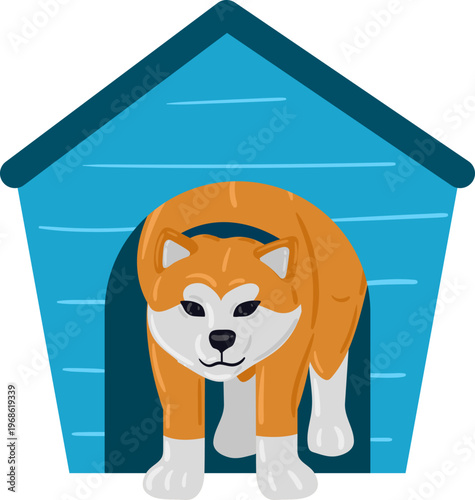 Akita dog emerging from a blue doghouse