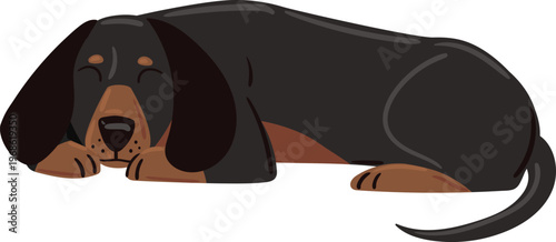 Black and tan dachshund sleeping flat vector illustration