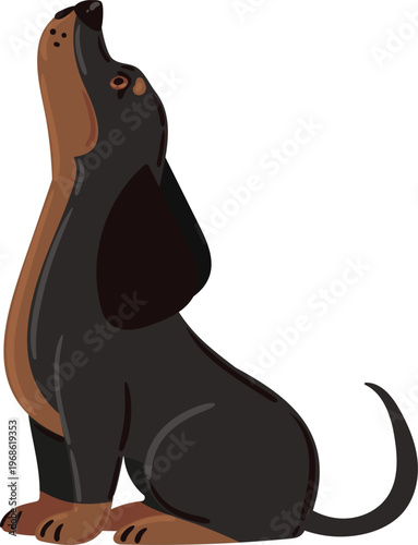 Black and tan dog patiently looking up