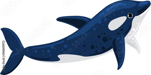 Cartoon killer whale swimming, representing marine life