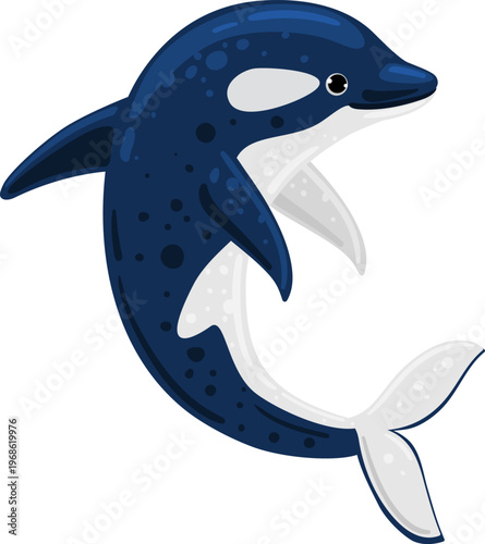 Orca killer whale vector drawing swimming illustration