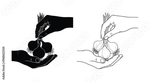 Hands exchanging garlic bulbs in contrasting black and white line art