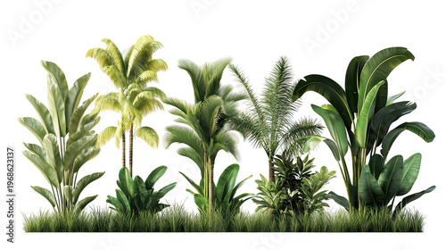 A collection of various green plants on transparent background