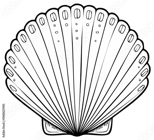 Detailed Outline Illustration of a Pectin Shell