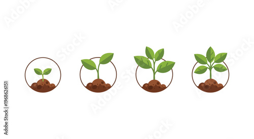 A progression of plant growth within circular frames depicting stages from sprout to mature plant silhouette high quality professional detailed modern