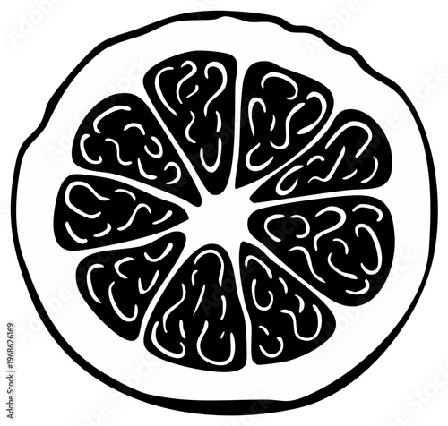 Cross-Sectional View of a Citrus Fruit Segmented and Filled with Pulp, Black and White Illustration