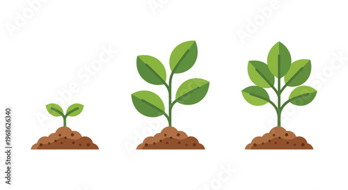 A visual representation of plant growth stages from sprout to mature plant depicted in a flat silhouette high quality professional detailed