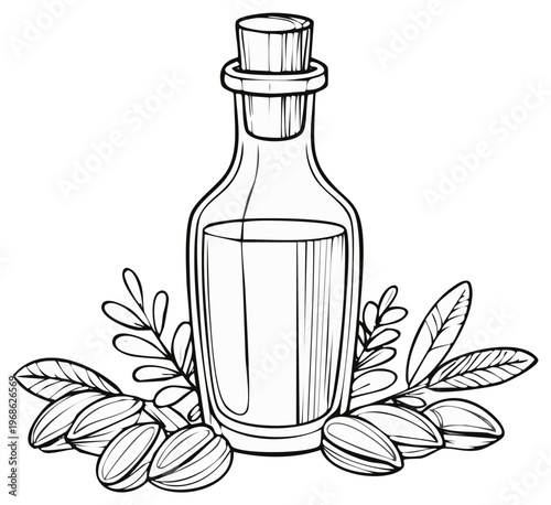 Artistic Illustration of Argan Oil Bottle with Argan Nuts and Leaves