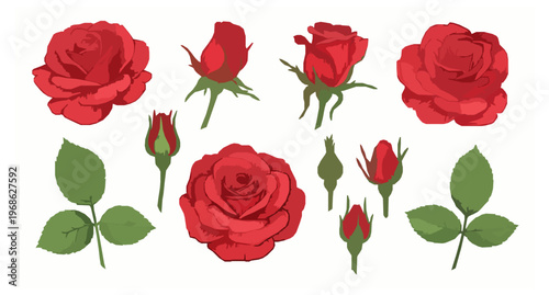 Cute cartoon pet animals vector collection with cats dogs rabbit hamster in playful poses for kids design