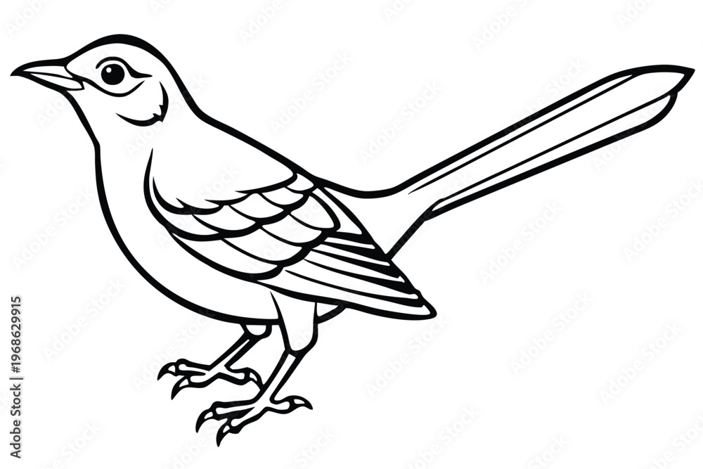Obraz premium mockingbird silhouette line art vector illustration with a white background