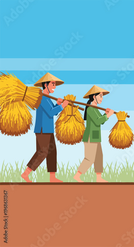 Two farmers walking through a field carrying bundled harvested rice on shoulder