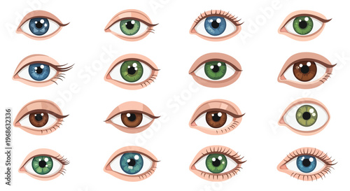 A colorful collection of human eyes with varying iris colors and lash styles presented in a grid silhouette high quality professional