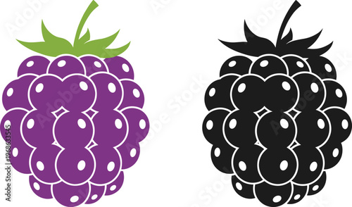 Blackberry and raspberry vector illustration, fresh forest berry icons with green leaves, sweet summer fruit silhouette set, isolated organic harvest.