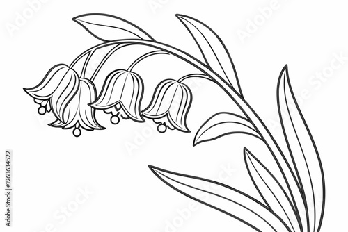 coloring page line art the solomon seal flower black vector