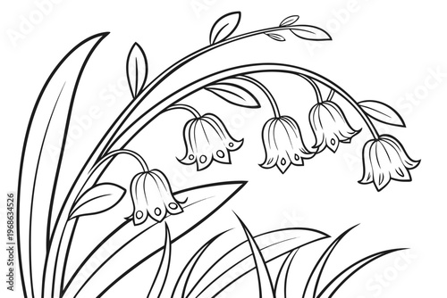 coloring page line art the solomon seal flower black vector