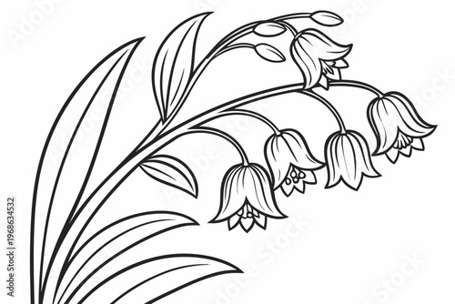 coloring page line art the solomon seal flower black vector