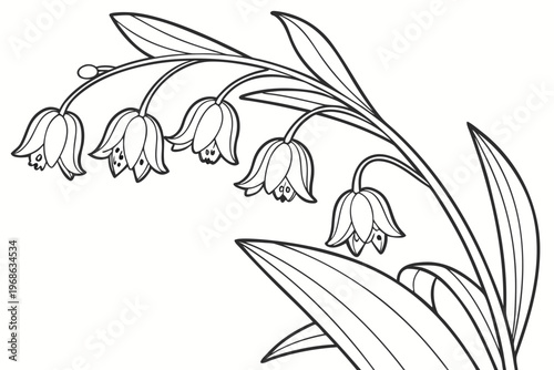 coloring page line art the solomon seal flower black vector