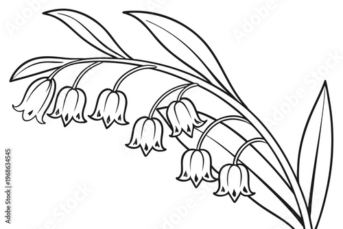 coloring page line art the solomon seal flower black vector