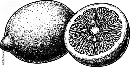Detailed black and white of a whole lemon and a sliced lemon showing pulp and seeds