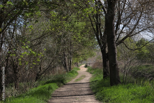 Paths and ponds of the Sils Lakes, Costa Brava, Catalonia