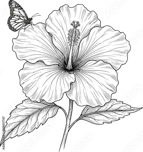 Detailed illustration of a hibiscus flower with a butterfly perched on it