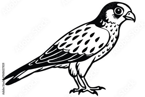 merlin bird silhouette line art vector illustration with a white background